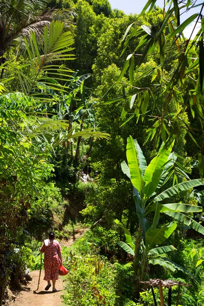 Ormanda yürüyen bir kadının dikiz aynası