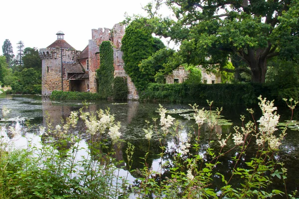 Güzel şato mimarisinin manzarası.