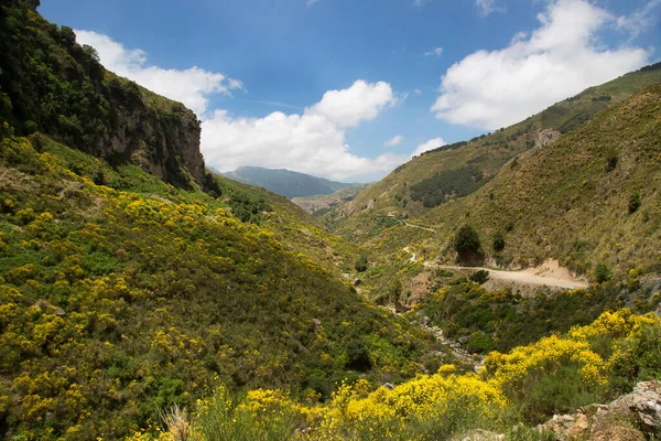 Dağlarla güzel bir manzara.