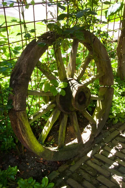 Старое Деревянное Колесо Растением — стоковое фото