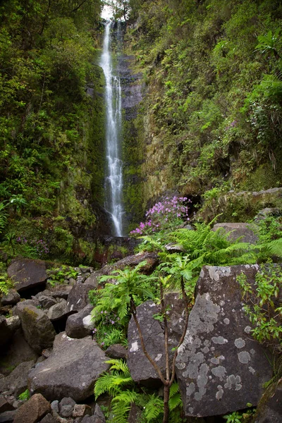 büyük şelale orman