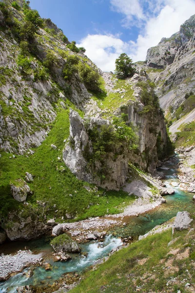 Yeşil ağaçları ve mavi gökyüzü olan güzel dağ manzarası