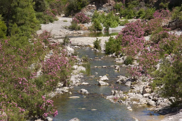 Doğanın güzel manzarası
