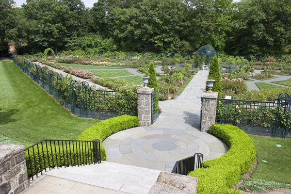 Parque Con Hermosas Flores Plantas — Foto de Stock