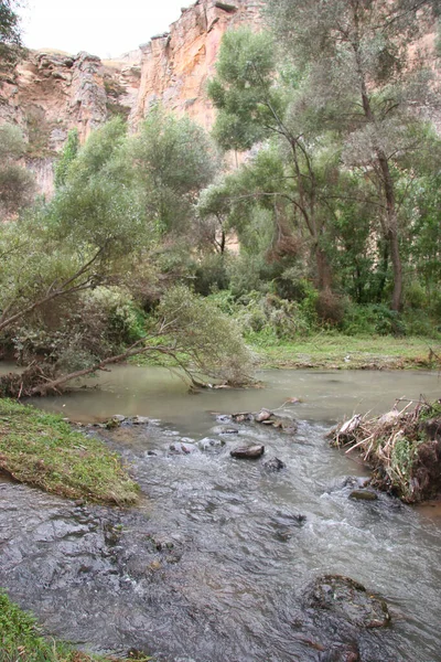 Dağlardaki nehrin güzel manzarası