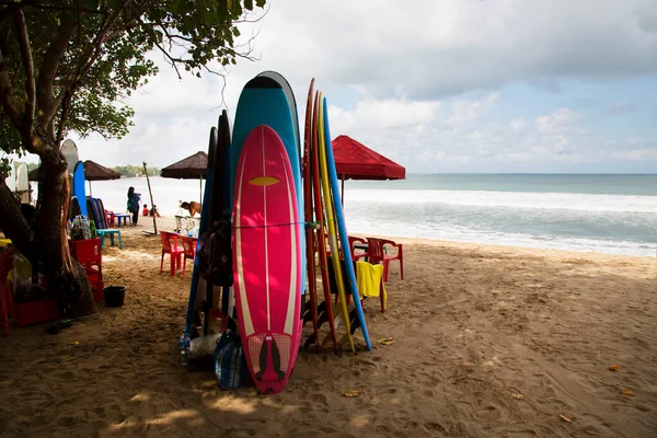 plajda sörf tahtaları
