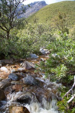 Dağları ve nehri olan güzel bir manzara.