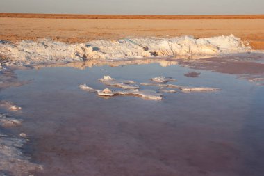 Chott el Djerid Güney Tunus 'ta büyük bir tuz gölüdür.