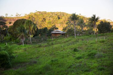 Güneşli bir günde dağ manzarası