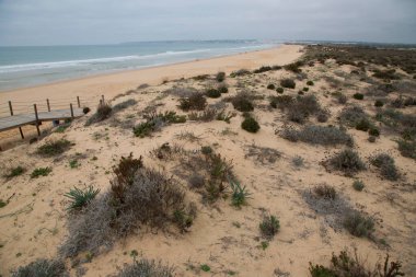 Deniz kıyısının güzel manzarası