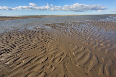 Gündüz vakti kıyı şeridinin manzarası
