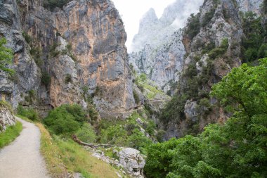 Dağların güzel manzarası