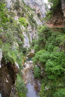 Dağlardaki nehrin güzel manzarası