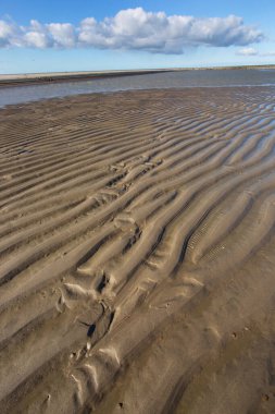 Kumsaldaki kum tepeleri