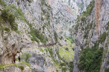 Dağlarda yürüyüşçüler, Kuzey İspanya.