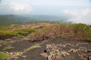 Dağ manzarası harika.