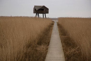 Kırsal bölgedeki tahta köprü.