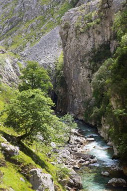 Dağlardaki güzel dağ nehri