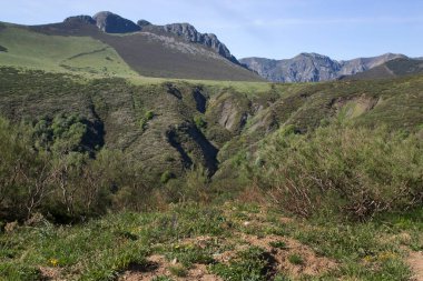 Dağ sırası olan güzel bir manzara. 
