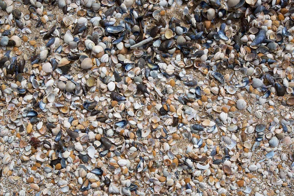 海の石の質感の背景 — ストック写真