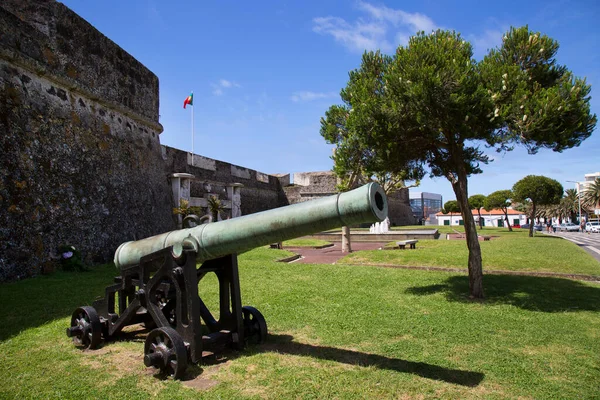 Tarihi park boyunca bir manzara