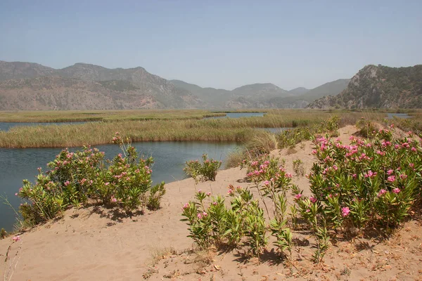 Dağlardaki güzel göl manzarası