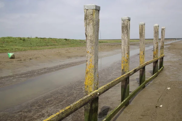 Çamurdaki ahşap çit