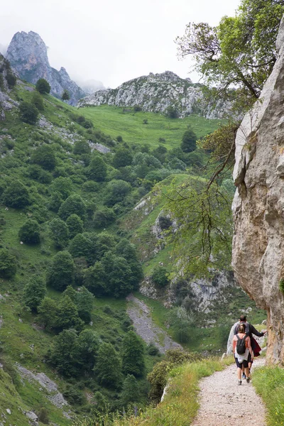 Kuzey İspanya 'da oyulmuş bir yürüyüş yolu ile dar ve sarp bir vadi boyunca iyi bilinen bir yürüyüş rotasındaki dağ yürüyüşçüleri..
