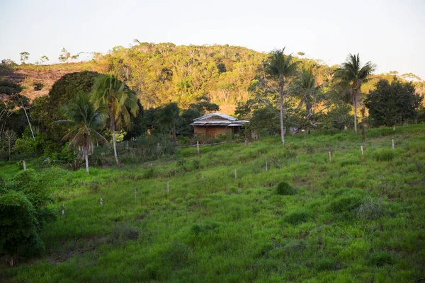 Güneşli bir günde dağ manzarası