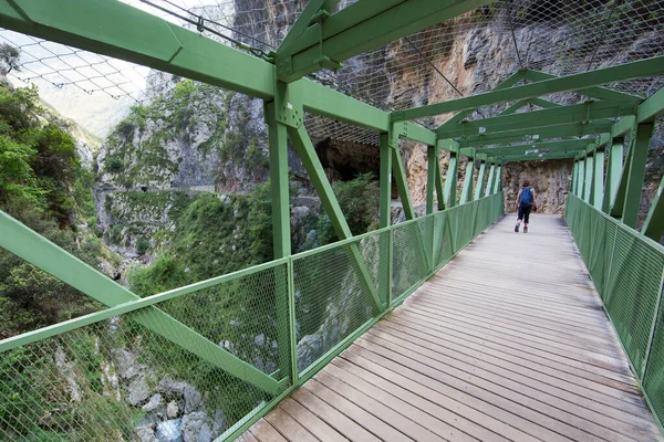 Utsikt Över Bron Bergen — Stockfoto