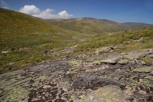 Dağların güzel manzarası