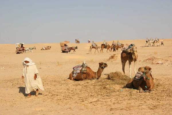 Blick Auf Menschen Die Auf Kamelen Der Wüste Reiten — Stockfoto