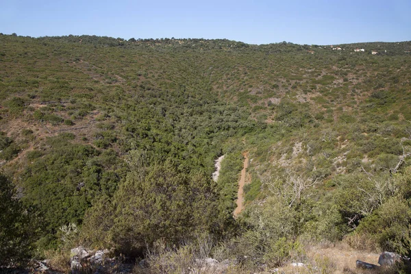 Dağlardaki yeşil bitki örtüsünün güzel manzarası