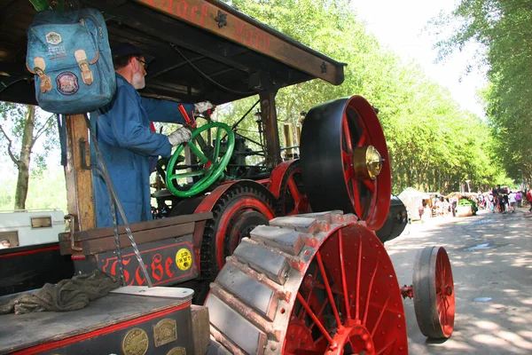 Parkta klasik sergi araçları