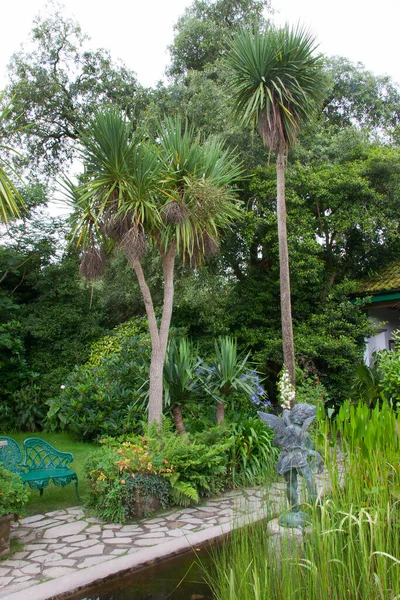 Beau Jardin Tropical Dans Parc — Photo