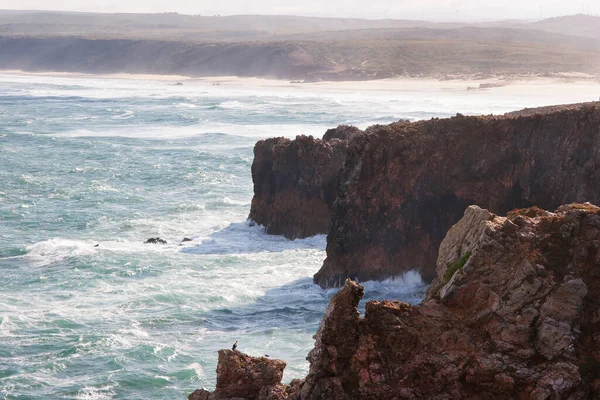 Kayalıkları ve mavi gökyüzü olan güzel sahil 