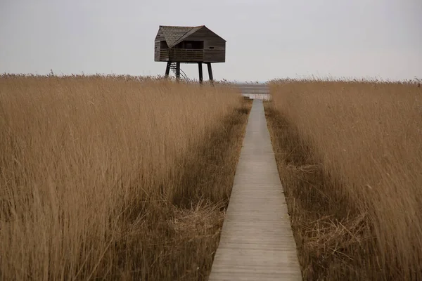 Kırsal bölgedeki tahta köprü.