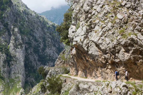 Dağlarda yürüyüşçüler, Kuzey İspanya.