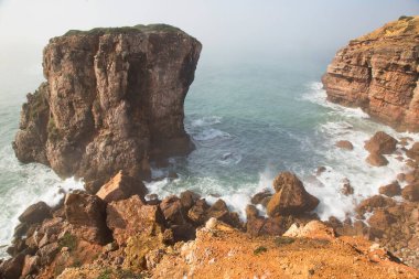 Deniz kıyısının güzel manzarası