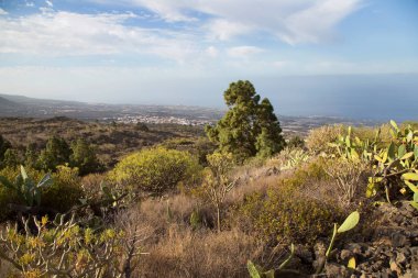 Yazın dağların manzarası