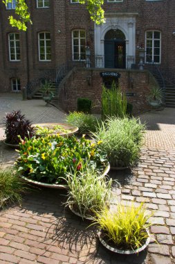 Güzel taze çiçekler Doğal manzara