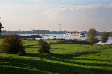 Yazın parkın manzarası.