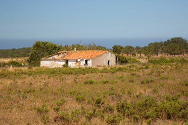 Terk edilmiş bir ev.