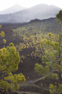 Dağlı güzel doğal manzara