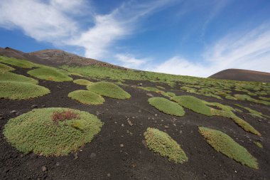Etna Dağı 'nın krater kenarı lav tarlaları ve dik yamaçlar. Çakıl taşlarıyla kaplı. Güçlü öncü bitkiler tarafından büyütülmüş.