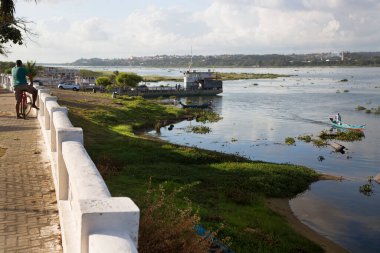 Nehir kıyısı manzaralı yeşillik