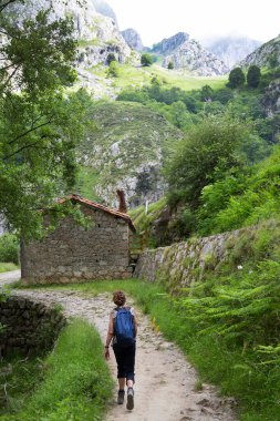Ormanda sırt çantalı genç bir kadın turist.