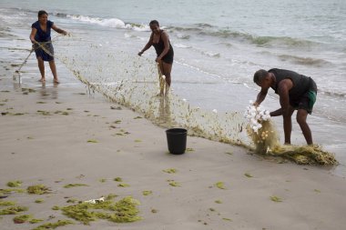 Sahilde ağlarla çalışan insanlar, seyahat çekimleri.