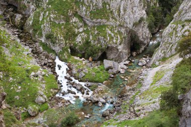 Dağlardaki dağ nehri