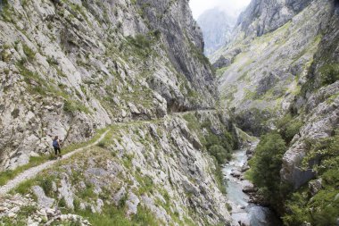 Kuzey İspanya 'da oyulmuş bir yürüyüş yolu ile dar ve sarp bir vadi boyunca iyi bilinen bir yürüyüş rotasındaki dağ yürüyüşçüleri..